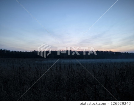 night photo in evening, dark forest ahead an fog rising over field, black gloomy scene. Dark landscape, black forest, meadow and fog over the field night photo in evening, dark forest ahead an fog rising over field, black gloomy scene. Dark landscape, black forest, meadow and fog over the field 126929243