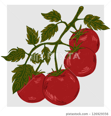 Mediterranean element, exotic tropical. Textured illustration with sketch elements hand drawn 126929356