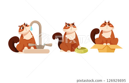 Joyful and Playful Cats Having Fun Interacting with Water, Food, and various Boxes 126929895