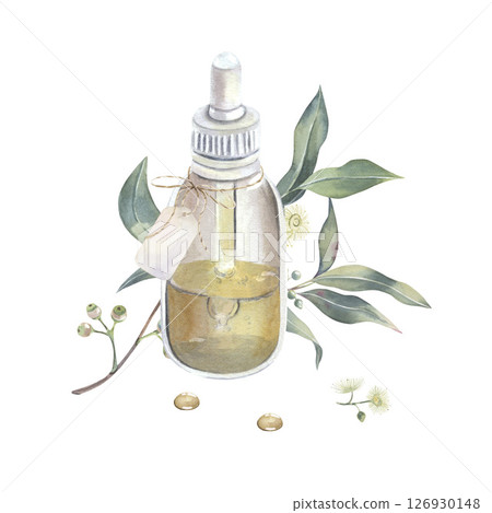 Eucalyptus branch with leaves, shoots and buds, drops, glass bottle of essential oil, label, watercolor isolated on white. Botanical illustration of medicinal herbs hand drawn for aromatherapy label Eucalyptus branch with leaves, shoots and buds, drops, glass bottle of essential oil, label, watercolor isolated on white. Botanical illustration of medicinal herbs hand drawn for aromatherapy label 126930148