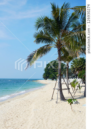 Beautiful seascape. Palm trees on the tropical beach, turquoise water color Beautiful seascape. Palm trees on the tropical beach, turquoise water color 126930274