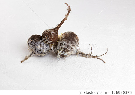 Rotten radish. Wasted moldy vegetables on a gray background. 126930376