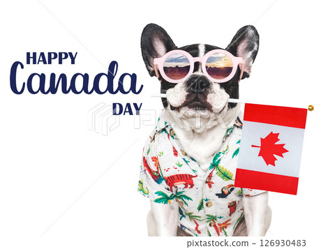Happy Canada Day. Cute puppy and Canadian Flag. Happy Canada Day. Cute puppy and Canadian Flag. 126930483