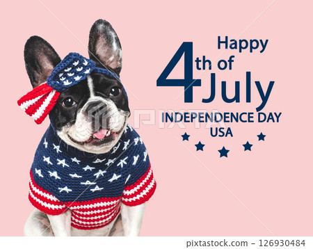 Happy Independence Day. American Flag and cute puppy Happy Independence Day. American Flag and cute puppy 126930484