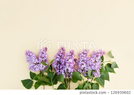 Lilac branches on a yellow background. Spring background mock up 126930602