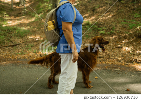 Senior Woman Hiking with Irish Setter Dog on Forest Path During Sunny Nature Walk Senior Woman Hiking with Irish Setter Dog on Forest Path During Sunny Nature Walk 126930710