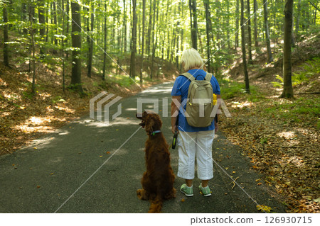 Senior Woman Hiking with Irish Setter Dog on Forest Path During Sunny Nature Walk Senior Woman Hiking with Irish Setter Dog on Forest Path During Sunny Nature Walk 126930715