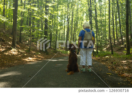 Senior Woman Hiking with Irish Setter Dog on Forest Path During Sunny Nature Walk 126930716