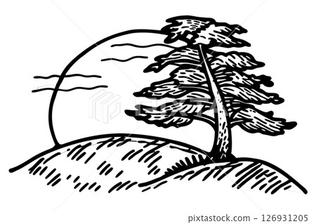 Lone windswept pine tree on hillside, sunrise or sunset in nature landscape, hand drawn sketch illustration, AI Generative 126931205