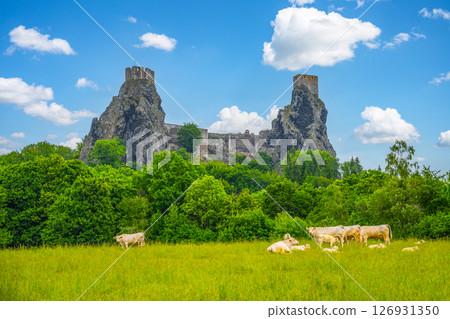 Trosky Castle Ruins rise majestically above a verdant landscape in Bohemian Paradise, Czechia, with grazing cattle dotting the lush green fields under a bright blue sky. 126931350