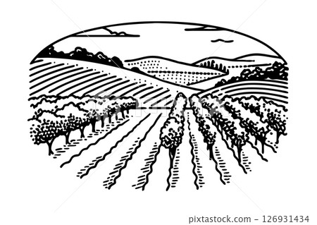Vineyard landscape illustration with rolling hills, trees, and cultivated farmland harvest season agricultural scene, AI Generative 126931434