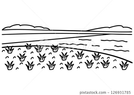 Coastal grassland ecosystem simple line art landscape with shoreline, water waves, grassy plants, clouds in sky, AI Generative 126931785
