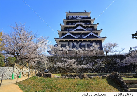 [Hiroshima Prefecture] Fukuyama Castle in spring with cherry blossoms (after reconstruction) Fukuyama Castle Cherry Blossom Festival 126932675