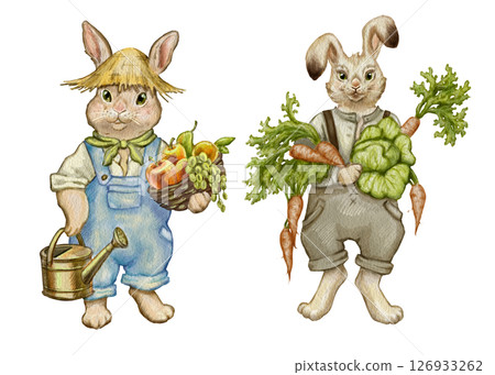 Watercolor illustration of two gardening rabbits. Rabbits in clothes with vegetables, fruits, garden tools. For printing on cards, t-shirts, dishes, notebooks, posters. Game characters funny animals. Watercolor illustration of two gardening rabbits. Rabbits in clothes with vegetables, fruits, garden tools. For printing on cards, t-shirts, dishes, notebooks, posters. Game characters funny animals. 126933262