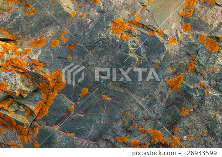 Rugged greenish rock surface adorned with orange lichen outdoors 126933599