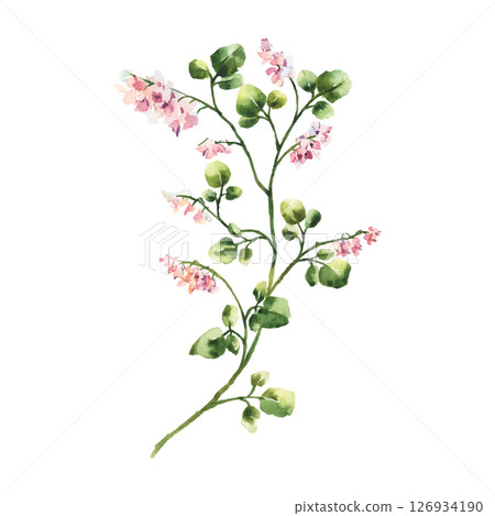 Hand Painted Watercolor Flower Vector Illustration Floral Element on White Background Hand Painted Watercolor Flower Vector Illustration Floral Element on White Background 126934190