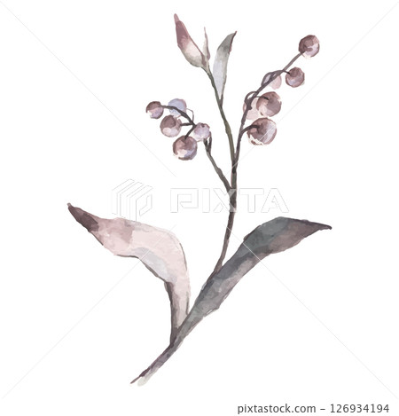 Hand Painted Watercolor Flower Vector Illustration Floral Element on White Background 126934194