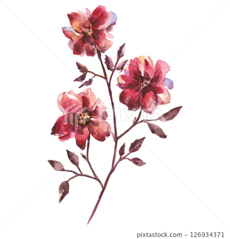 Watercolor flower vector illustration hand painted floral element isolated on white background Watercolor flower vector illustration hand painted floral element isolated on white background 126934371