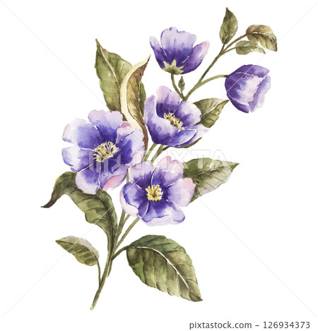 Watercolor flower vector illustration hand painted floral element isolated on white background Watercolor flower vector illustration hand painted floral element isolated on white background 126934373