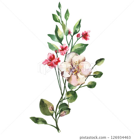 Hand Painted Watercolor Flower Vector Illustration Floral Element on White Background 126934463