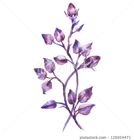 Hand Painted Watercolor Leaves Branch Vector Illustration Floral Element on White Background 126934471