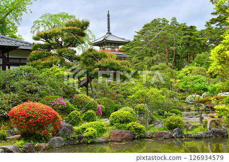 仙台、樹之城、北山、輪王寺、日本庭園、三重塔、杜鵑花 仙台、樹之城、北山、輪王寺、日本庭園、三重塔、杜鵑花 126934579