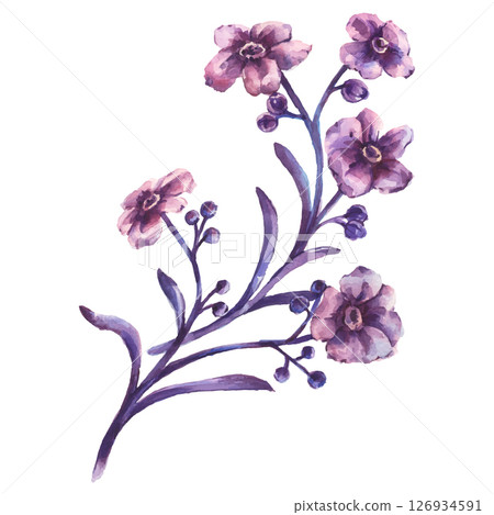 Hand Painted Watercolor Flower Vector Illustration Floral Element on White Background 126934591