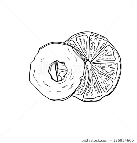 Vector dried apple and orange slices hand drawn monochrome illustration. Etching drawing of orange and apple slices ingredients for Christmas decorations, festive drink menus, baking packaging. Vector dried apple and orange slices hand drawn monochrome illustration. Etching drawing of orange and apple slices ingredients for Christmas decorations, festive drink menus, baking packaging. 126934600