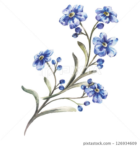 Hand Painted Watercolor Flower Vector Illustration Floral Element on White Background Hand Painted Watercolor Flower Vector Illustration Floral Element on White Background 126934609