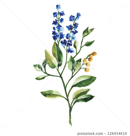 Hand Painted Watercolor Flower Vector Illustration Floral Element on White Background 126934610
