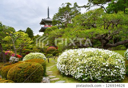 Sendai, the City of Trees, Kitayama, Rinnoji Temple, Japanese Garden, Three-story Pagoda, Azalea Sendai, the City of Trees, Kitayama, Rinnoji Temple, Japanese Garden, Three-story Pagoda, Azalea 126934626