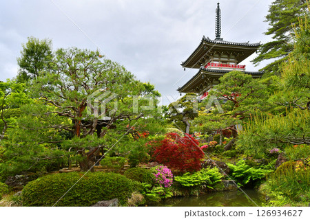 仙台、樹之城、北山、輪王寺、日本庭園、三重塔、杜鵑花 仙台、樹之城、北山、輪王寺、日本庭園、三重塔、杜鵑花 126934627