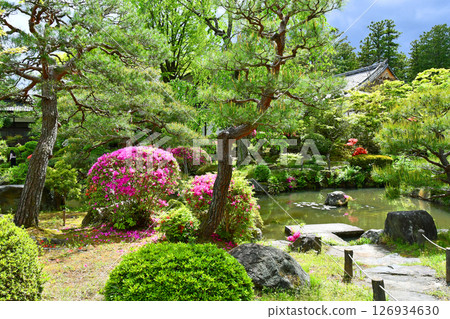 仙台、樹之城、北山、輪王寺、日本庭園、三重塔、杜鵑花 仙台、樹之城、北山、輪王寺、日本庭園、三重塔、杜鵑花 126934630