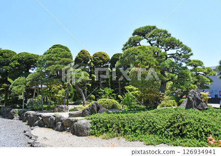 仙台、樹之都、北山五山、東鄉山、萬勝寺、庭園 仙台、樹之都、北山五山、東鄉山、萬勝寺、庭園 126934941