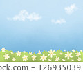 Natural flowers garden with sky background  126935039
