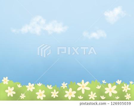 Natural flowers garden with sky background  Natural flowers garden with sky background  126935039