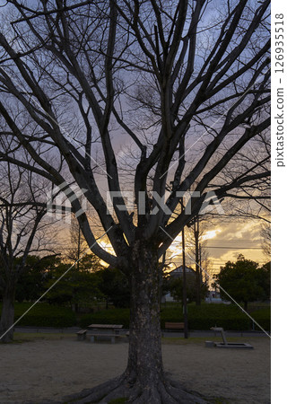 晚上景觀 晚上景觀 126935518