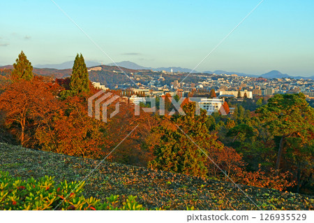 深秋的樹之城仙台:從青葉城遺址眺望被朝陽染紅的街景 深秋的樹之城仙台:從青葉城遺址眺望被朝陽染紅的街景 126935529