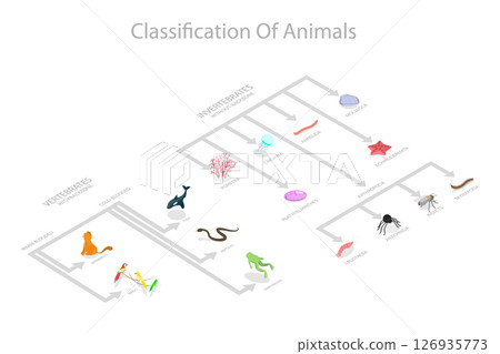 3D Isometric Flat Illustration of Animal Classification System, Zoology and Biology Basics 3D Isometric Flat Illustration of Animal Classification System, Zoology and Biology Basics 126935773