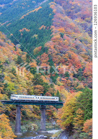 秋葉最盛時，高山本線柴油列車穿越第十六座益田川大橋 126936103