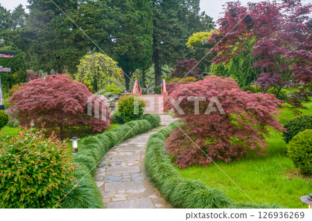 Japanese garden in Batumi in May Japanese garden in Batumi in May 126936269