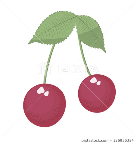 Two cherries with leaves, colorful illustration 126936384