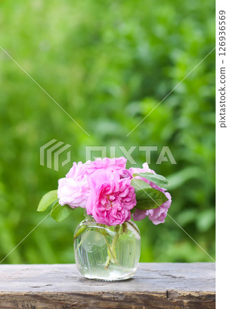 Pink roses in the glass jar on a wooden bench outdoors. Pink roses in the glass jar on a wooden bench outdoors. 126936569