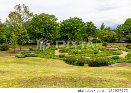 Nakanojo Gardens Natural Garden Area 126937575
