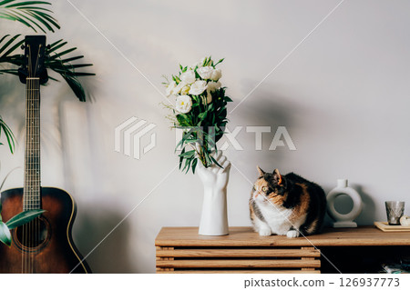 Multicolored cat pet sitting near vase made in shape of human hand on wooden console. Guitar and home plants in sunset light on a gray wall. Cozy home interior design decor details. Selective focus. 126937773