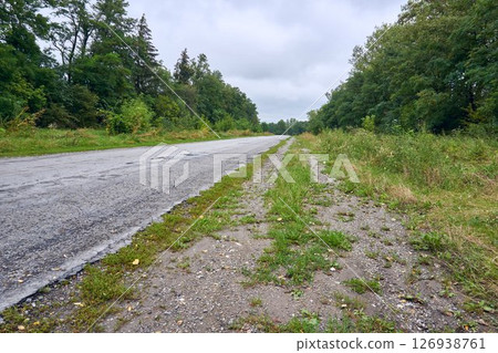 Asphalt rural road in cloudy day.Loneliness,calm Asphalt rural road in cloudy day.Loneliness,calm 126938761
