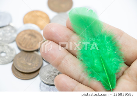 Green Feather Green Donation 126939593