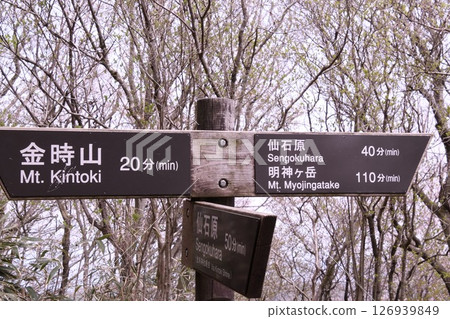 金時登山路標 126939849