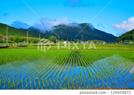 Early morning Satoyama: Mirror reflection: Rural scenery with fresh greenery, near Okubo-cho, Tochigi City Early morning Satoyama: Mirror reflection: Rural scenery with fresh greenery, near Okubo-cho, Tochigi City 126939872