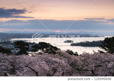 Cherry blossoms of Matsushima, one of Japan's three most scenic spots, at sunrise from Saigyo-Modoshi-no-matsu Park Cherry blossoms of Matsushima, one of Japan's three most scenic spots, at sunrise from Saigyo-Modoshi-no-matsu Park 126940606